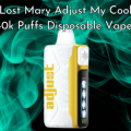 Lost Mary Adjust Mynicotine 40K